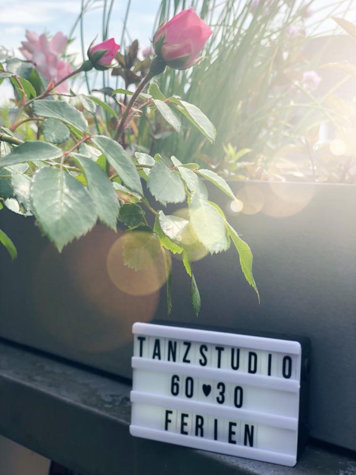 Leuchtkasten mit der Aufschrift Tanzstudio 60 30 Ferien unter rosa Rosen
